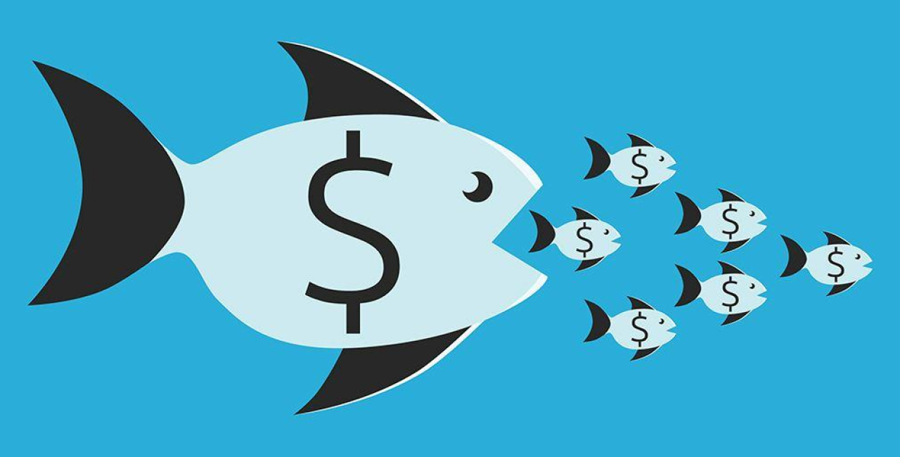 Why stock trading is not about Big Fish vs Small Fish